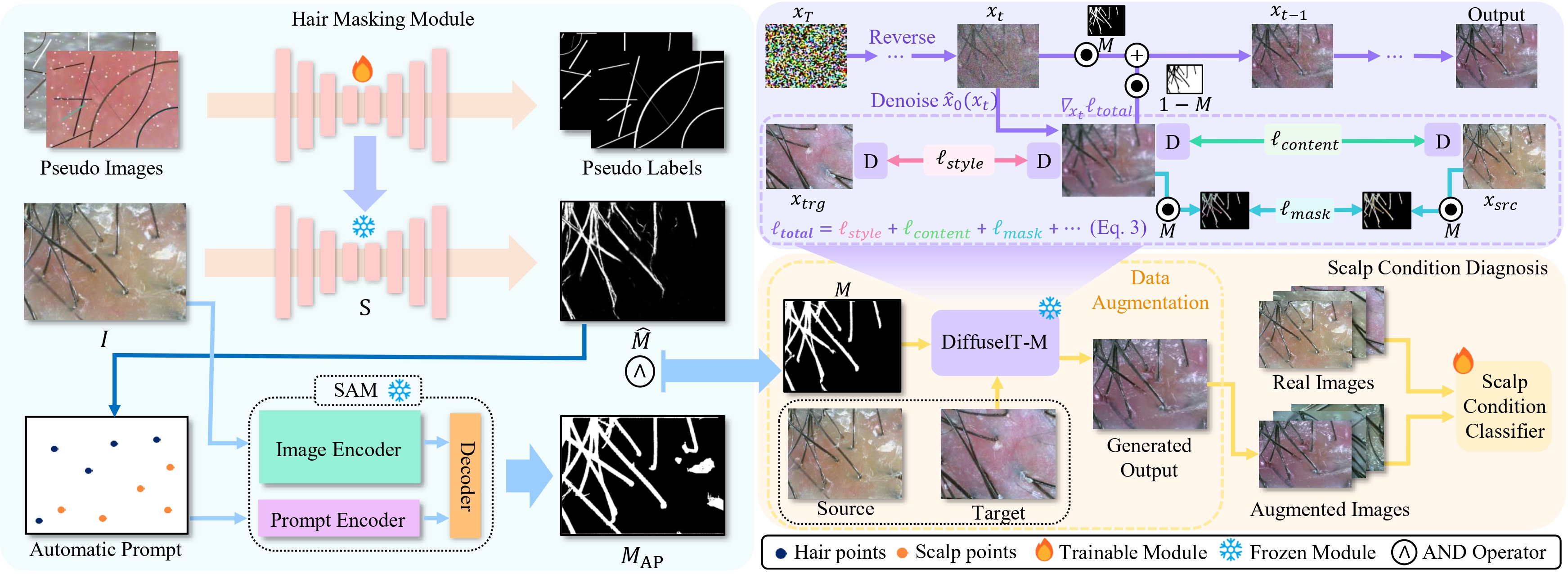 Overview of ScalpVision